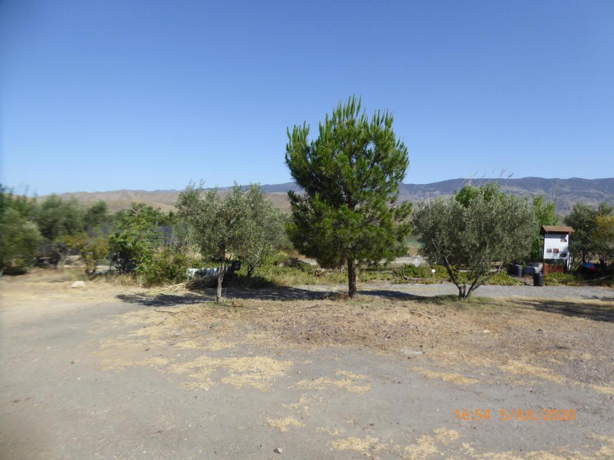 Sol y Vida, Arco-Nucleo zoológico Villa Tabernas Exterior foto